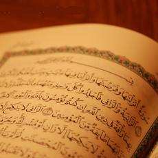 سورة النور وأسوار الفضيلة - أ. د. ناصر العمر سورة النور وأسوار الفضيلة - أ. د. ناصر العمر