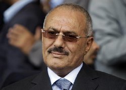 حاكم الشارقة يفجر مفاجأة أصول 22_222-thumb2.jpg